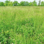 Supporting farmers improves agriculture’s environmental impact
