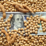American soybeans acres are expected to be down this planting season.