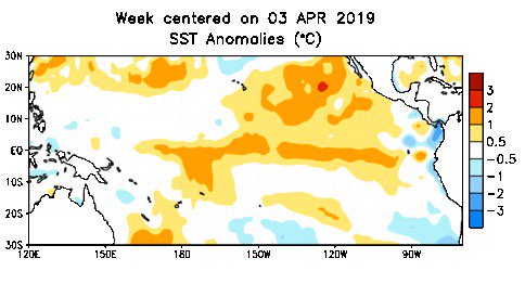 Sea surface temperature anomalies over the equatorial Pacific for the week centred on April 3, 2019. (CPC.ncep.noaa.gov)
