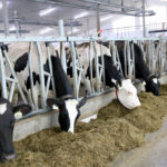 Lactanet brings together herd management and genetics organizations from across the country into one partnership.