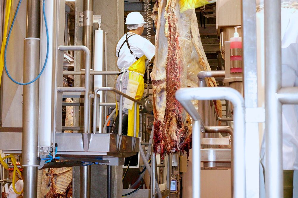 (Photo courtesy Canada Beef Inc.)
