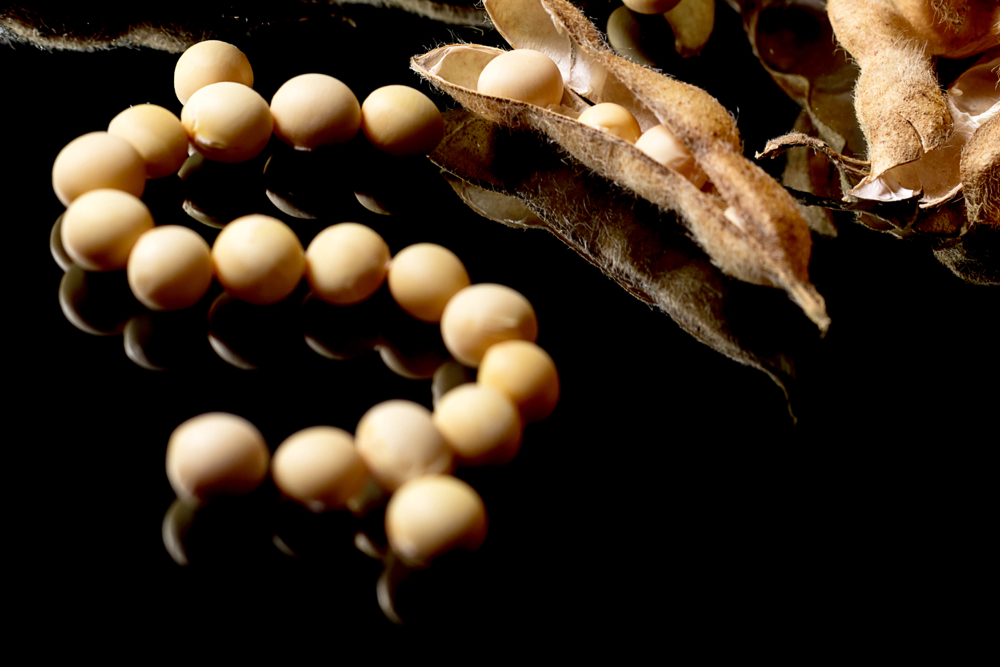 Soybeans forming Dollar symbol. Soybean market. Agriculture Soybean pods.