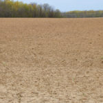 Most Ontario land is like this, waiting for some dry weather before being planted.