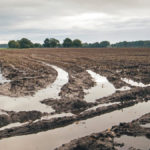 Farmers are quickly hitting the limits of the corn planting window, prompting hybrid and crop switches.