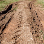 There are lots of ruts in fields and little planting in Ontario due to almost double the normal rainfall in the past month.