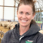 Sandi Brock in her Perth County sheep barn.