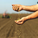 The challenge of getting soybean, and other seeds into the ground this year has created extra stress.