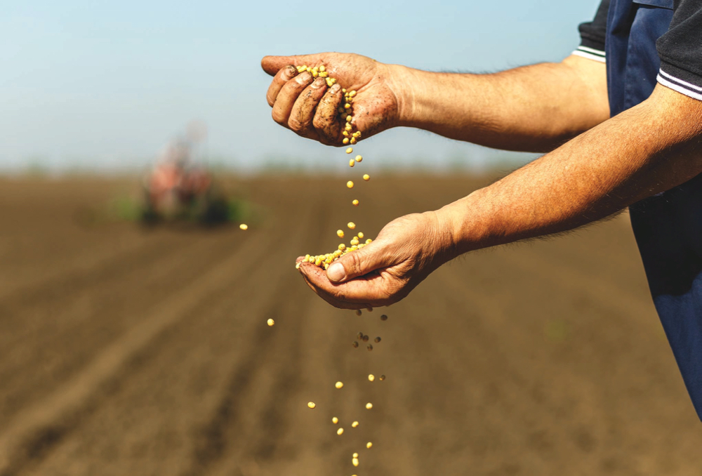 The challenge of getting soybean, and other seeds into the ground this year has created extra stress.