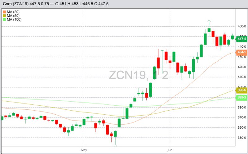 U.S. grains: Corn up as crop ratings ease