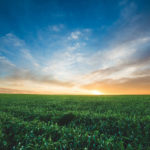 IBM helps to overlay weather details to assist in making decisions.