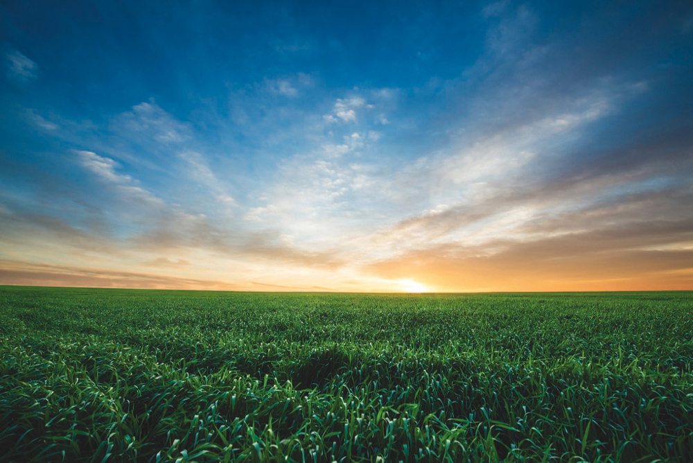 IBM helps to overlay weather details to assist in making decisions.