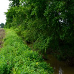 Water flows in a drain next to a field in southern Ontario.