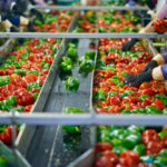 Food processors and food systems are drawing lots of interest from data companies as they see business opportunity.