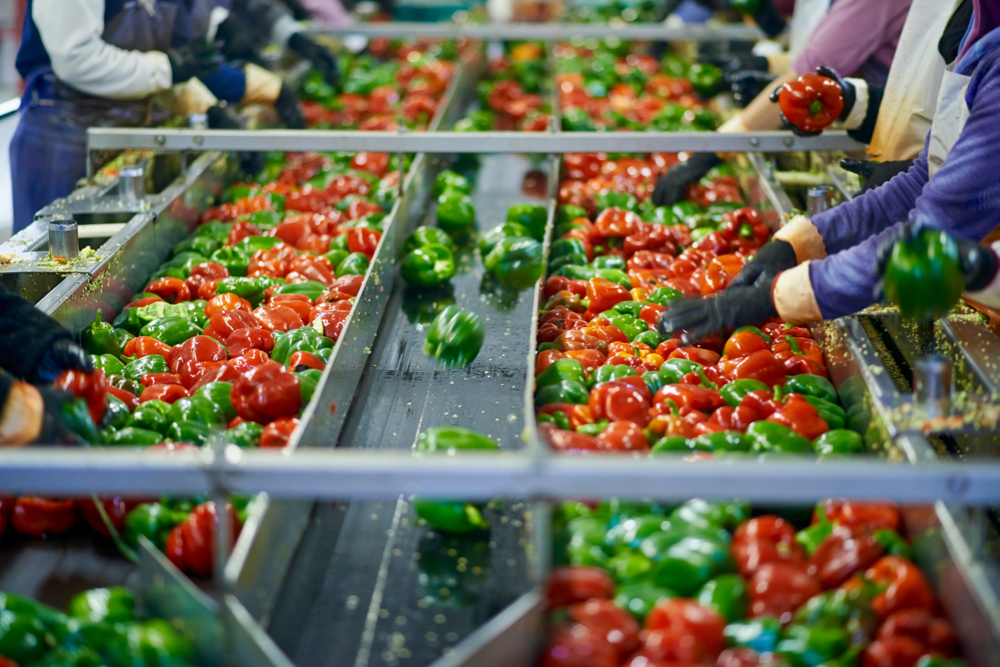 Food processors and food systems are drawing lots of interest from data companies as they see business opportunity.