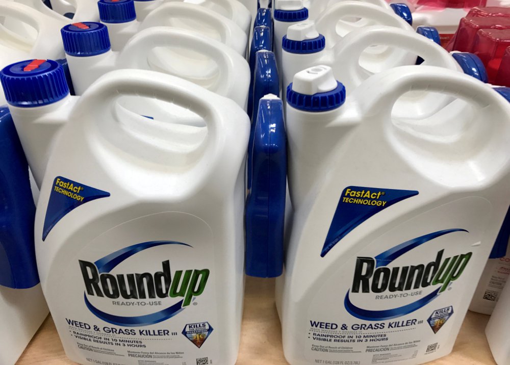 Monsanto Co’s Roundup for sale in Encinitas, California, June 26, 2017.  Photo: Reuters/Mike Blake/File
