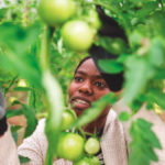 Ontario has the highest reliance on foreign workers, meaning significant impacts from policy changes.