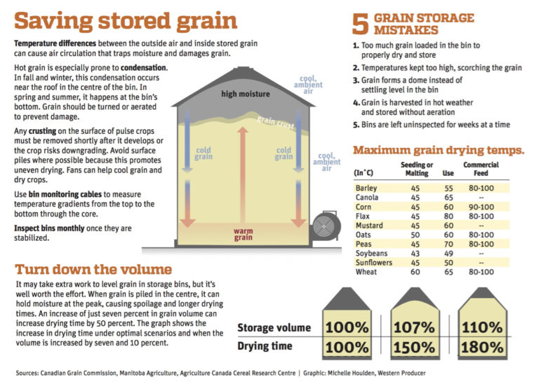 Prepare your grain bins before setting out for harvest Farmtario