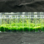 The base is a container called the We-V, designed to be picked up with one hand and featuring an easy-to-remove lid that doesn’t require the user to set down tools they are already holding, which speeds up a process called subculturing —transferring cells from a previous culture to a fresh growth medium.