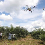 Emmanuel Adou, an Ivorian farmer, looks a drone spraying his oil palm plantation in Tiassale northern Abidjan, Ivory Coast May 21, 2019. Photo: REUTERS/