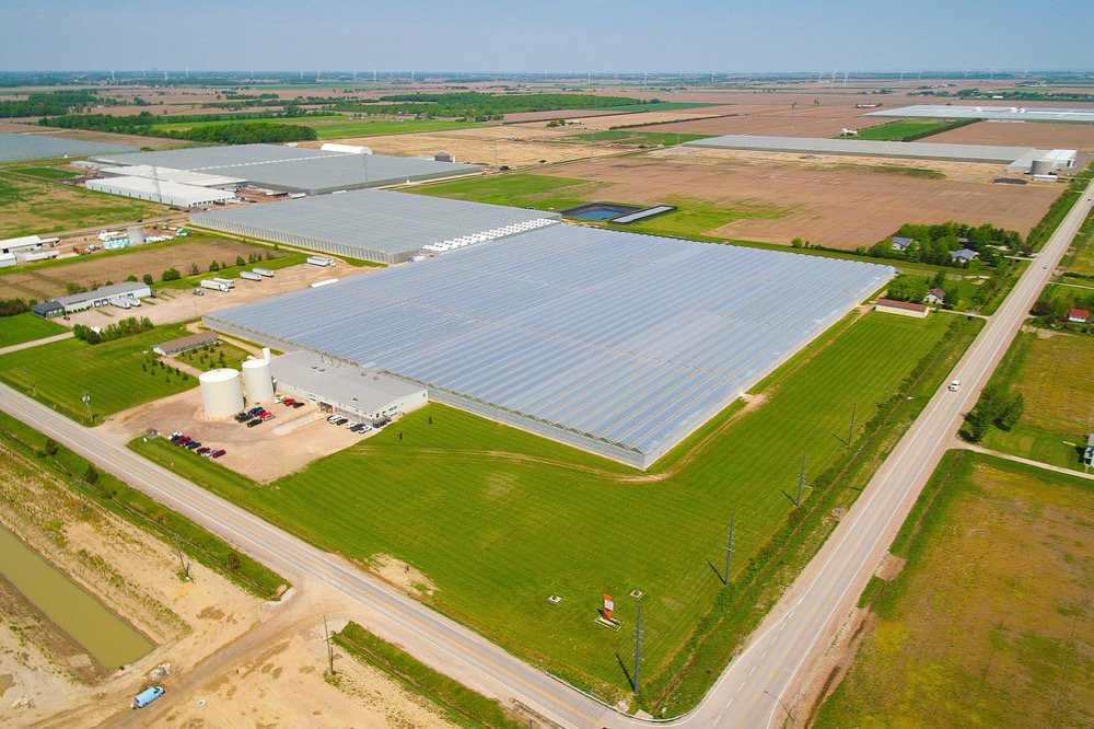 An aerial view of Orangeline Farms. (CNW Group/Mucci Farms)
