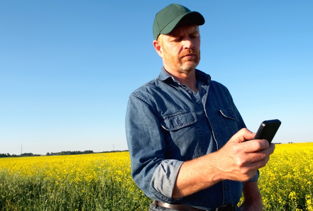 Rural high speed internet has been identified as a priority by both federal and provincial governments,