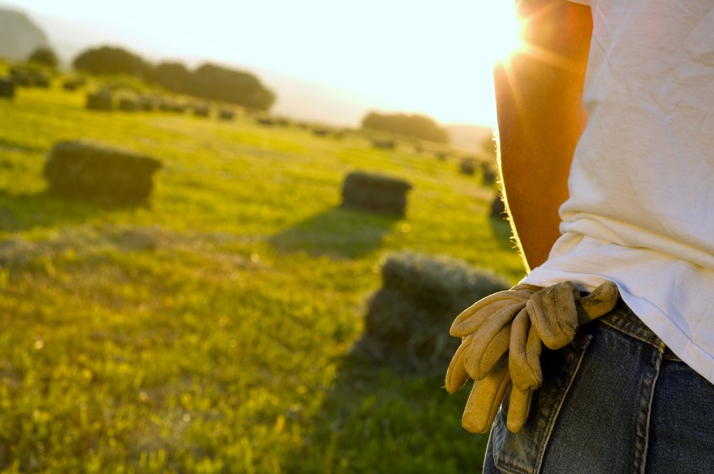 Brigid Rivoire Award recognizes agricultural mental health advocates