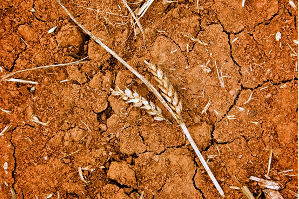 Australia is suffering from a third year of drought, resulting in a deep reduction in agriculture output.  Photo: Thinkstock
