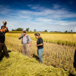 Jim Hawkins and Andy Velle, left, completed the custom harvesting of the one rice field. They look at the rice straw with Wendy Zhang, centre, project and farm manager, with Sydney Boersma, of the University of Guelph’s Ridgetown campus looking on, right.