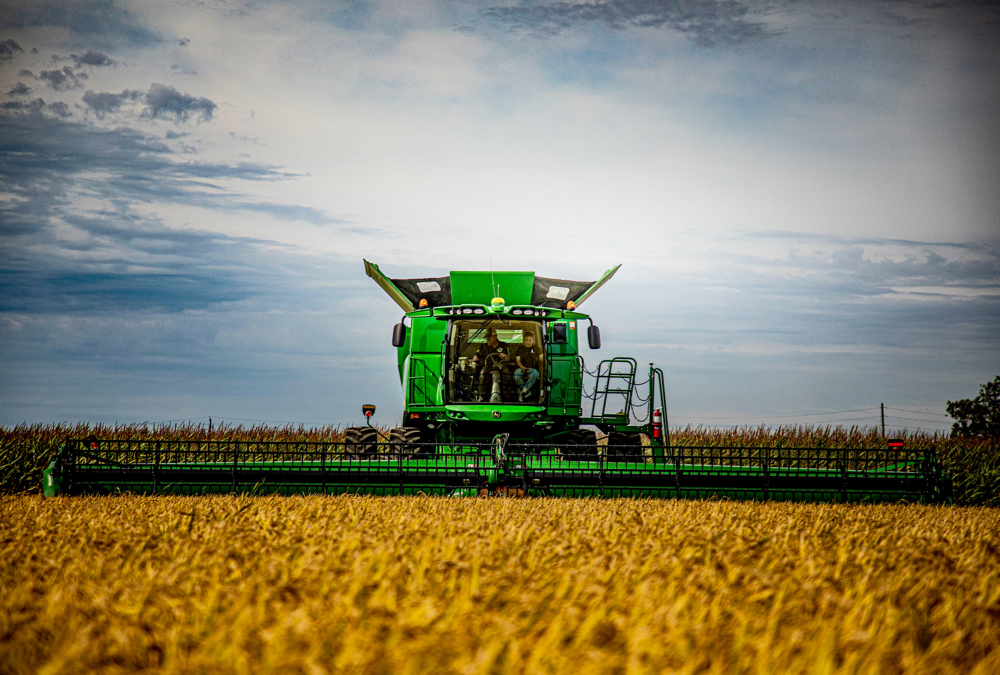A combine moves through the field of rice near Pain Court, harvesting the first crop for Ontario FangZheng Agriculture Enterprise Inc. with Jim Hawkins and Wendy Zhang in the cab.