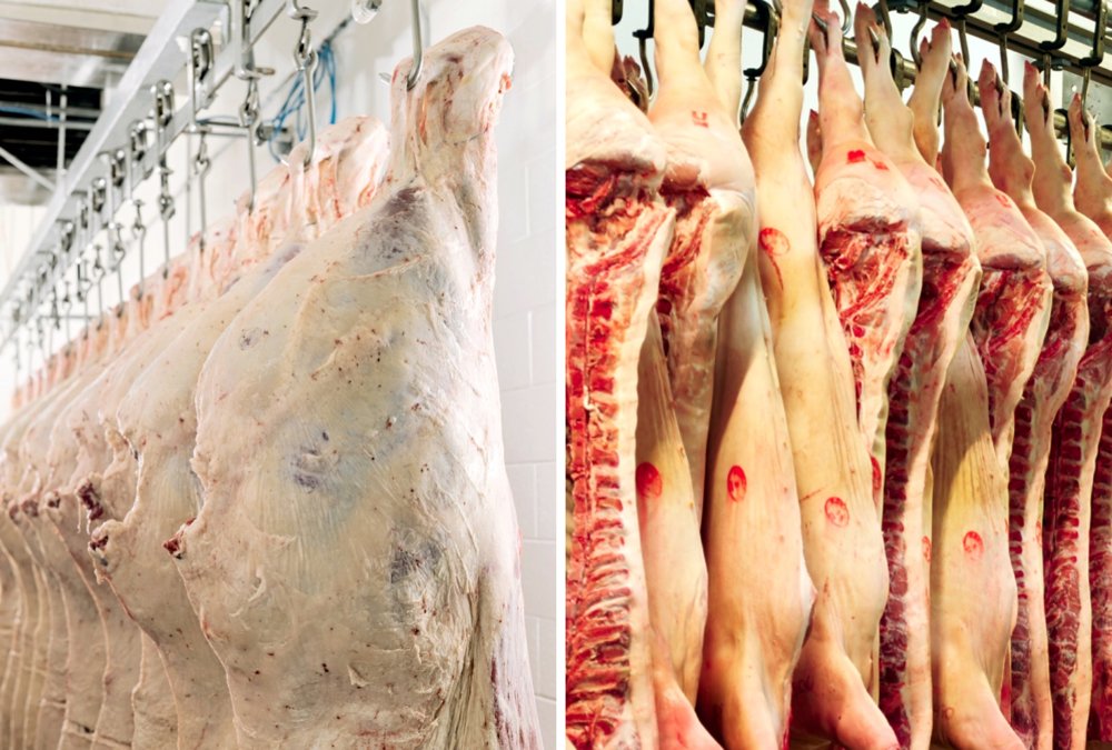 Photo: Canada Beef Inc/Getty Images
