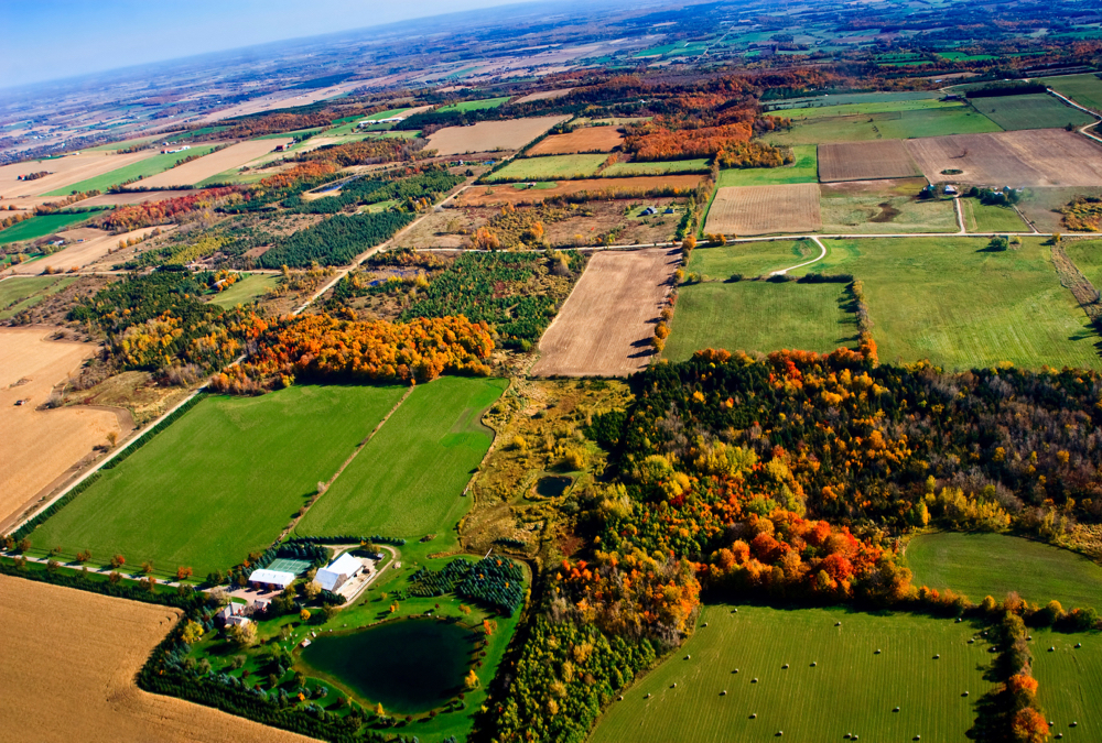 There’s more green in Ontario fields in the fall compared to the Prairies, a factor of more cover crop usage, and use of winter wheat. 