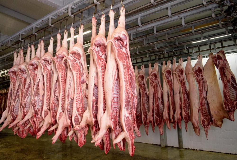 Five pork, five beef and three poultry plants will be built to help supply China’s appetite for meat.  Photo: iStock/Getty Images
