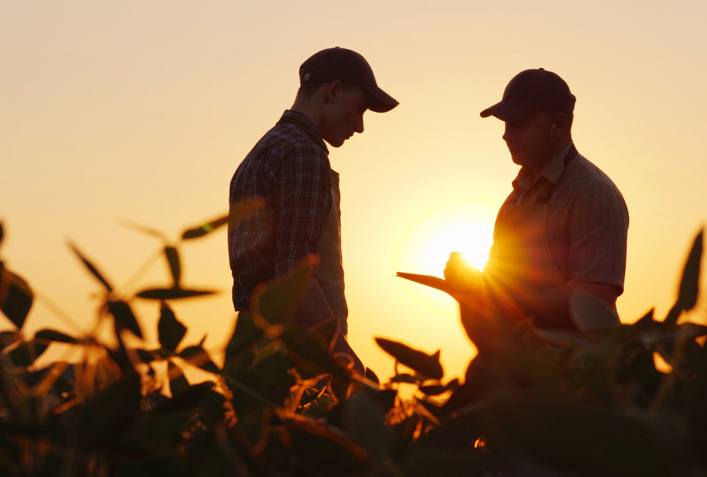 New tax rules can especially affect taxes relating to young people while away at school and not directly working on the farm.