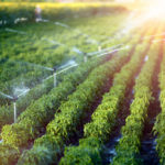 Precision irrigation requires good soil moisture and weather information.