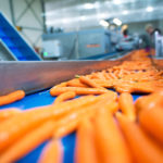 Processing tomato and carrot growers will have the option to negotiate directly with processors.