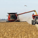 When recently elected Argentine Vice-President Cristina Fernandez de Kirchner was previously president, her export tax policies prompted farmers to ignore “basic agronomy” and plant six times as many soybean acres as corn.