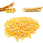 The Jan. 7-8 conference will include 44 different sessions on a range of topics from cereals to soybeans.