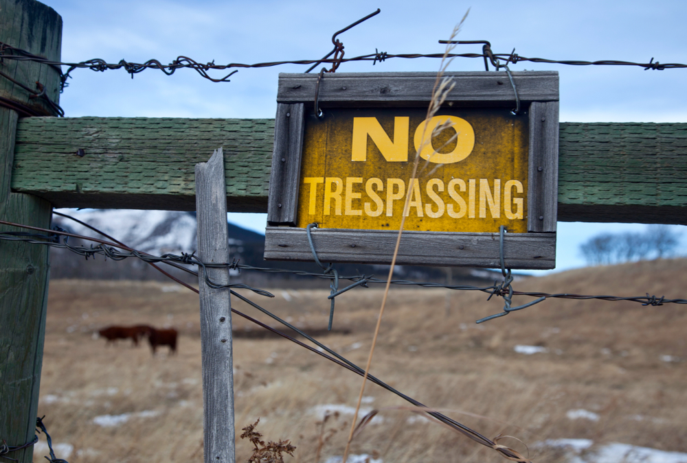 “They are already committing an offence by coming over the fence.”