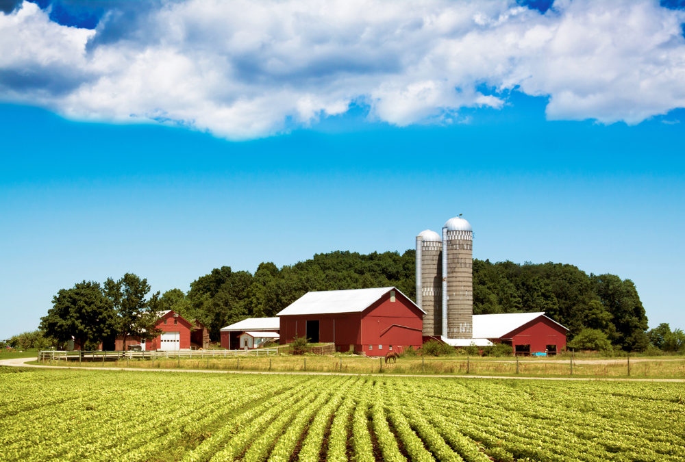 Farm acquisitions can be more challenging tax-wise than succession plans.