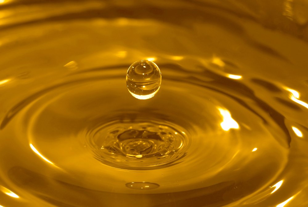 Photo: iStock
