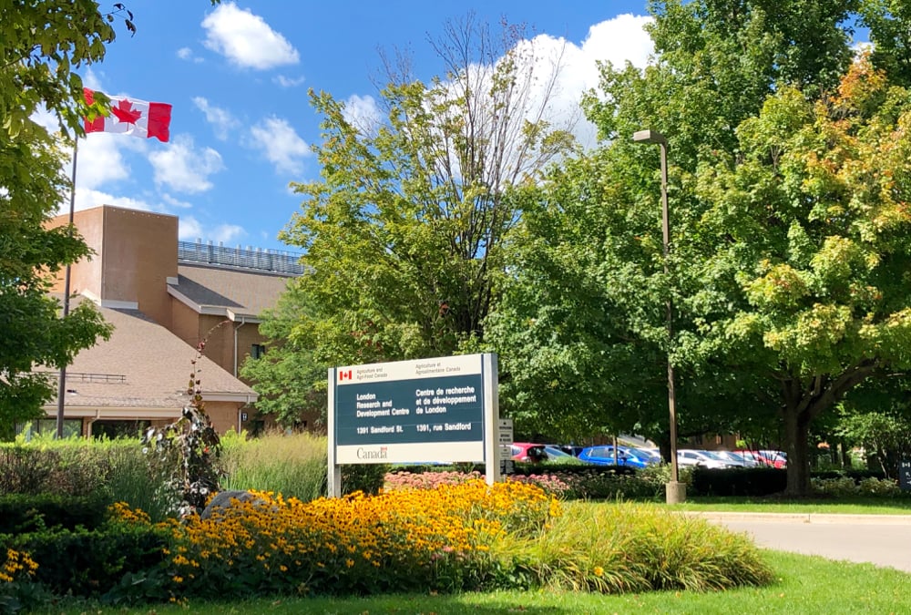 The London location of the Agriculture and Agri-Food Canada research station.
