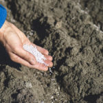 “It’s not only about working with NPK, it’s working smartly around plant nutrition.”