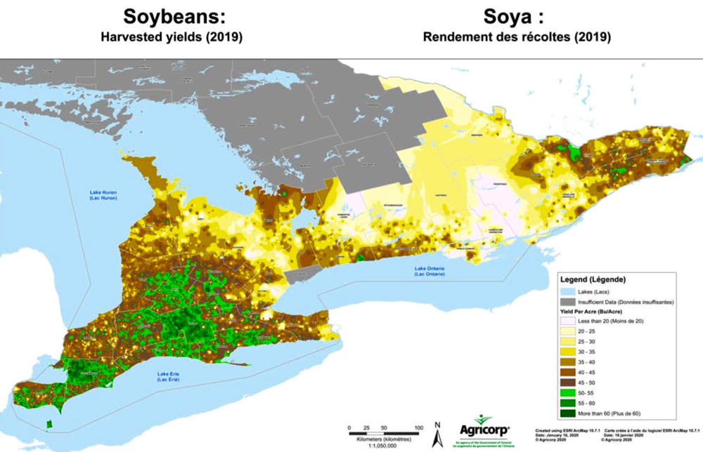 Provincial soybean yield from Agricorp, show regional variations in crop success.