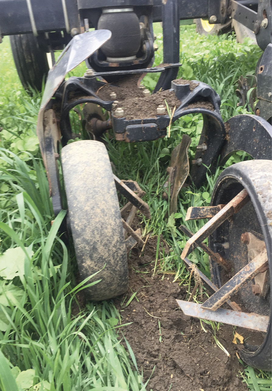 Coulters in strip till work shallower and mix fertilizer.