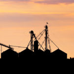 Profitable crop marketing takes planning and discipline.