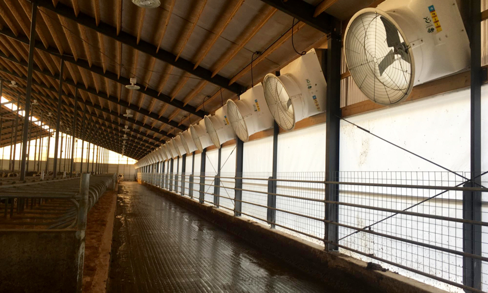 New hybrid barn combines natural and mechanical ventilation | Farmtario