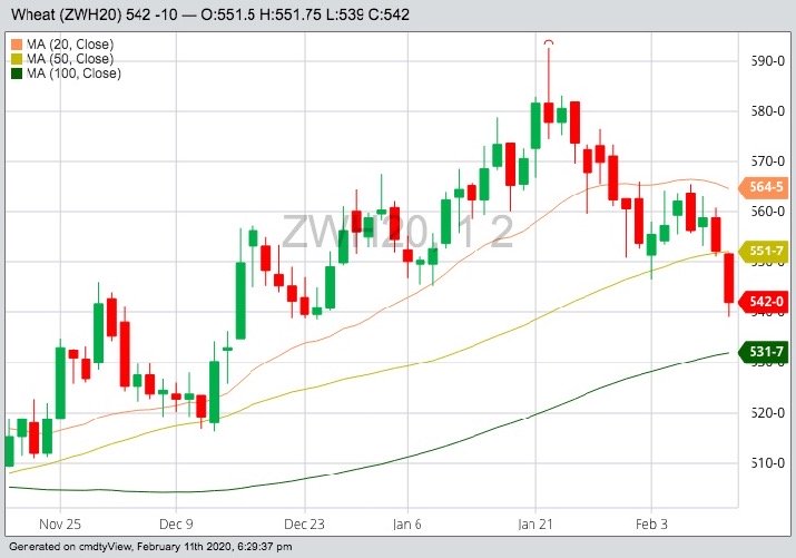 CBOT March 2020 wheat with 20-, 50- and 100-day moving averages. (Barchart)
