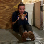 Gillian Grieves works for South West Ontario Veterinary Services.