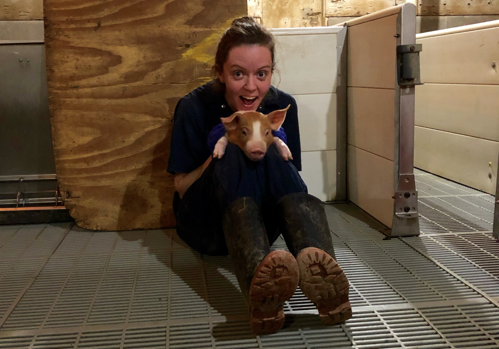 Gillian Grieves works for South West Ontario Veterinary Services. 