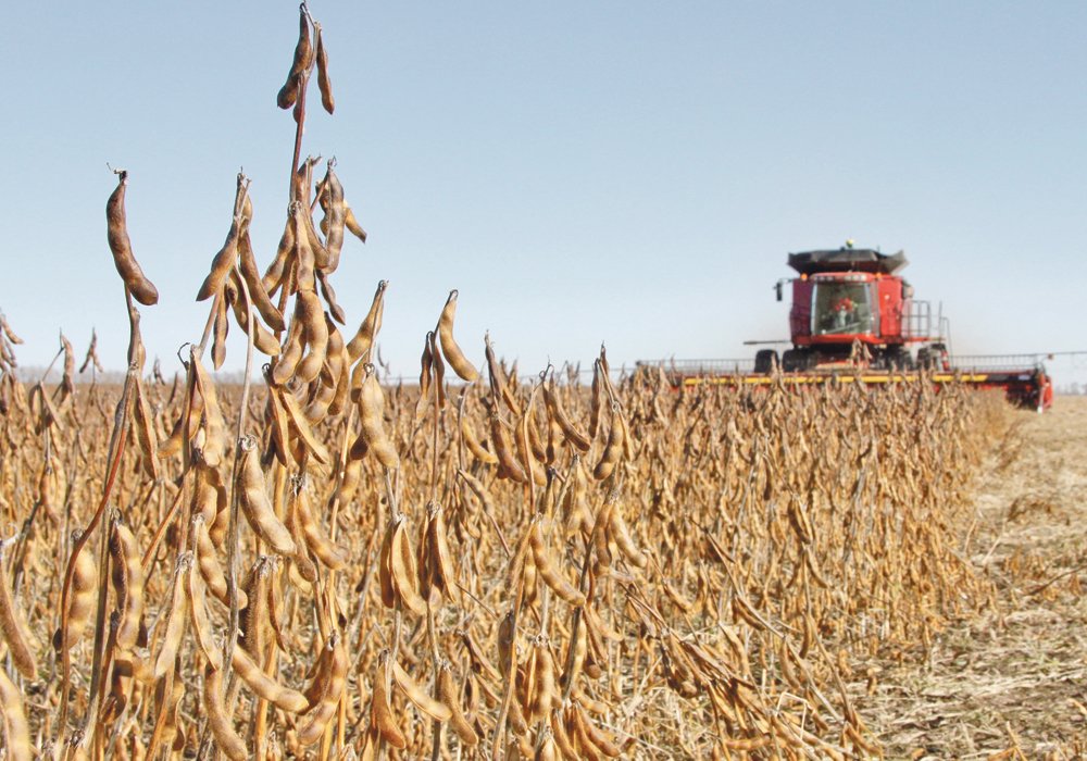 Soybean exports to China have plummeted to 2.5 per cent of normal since Canada arrested a Chinese business executive in 2018.